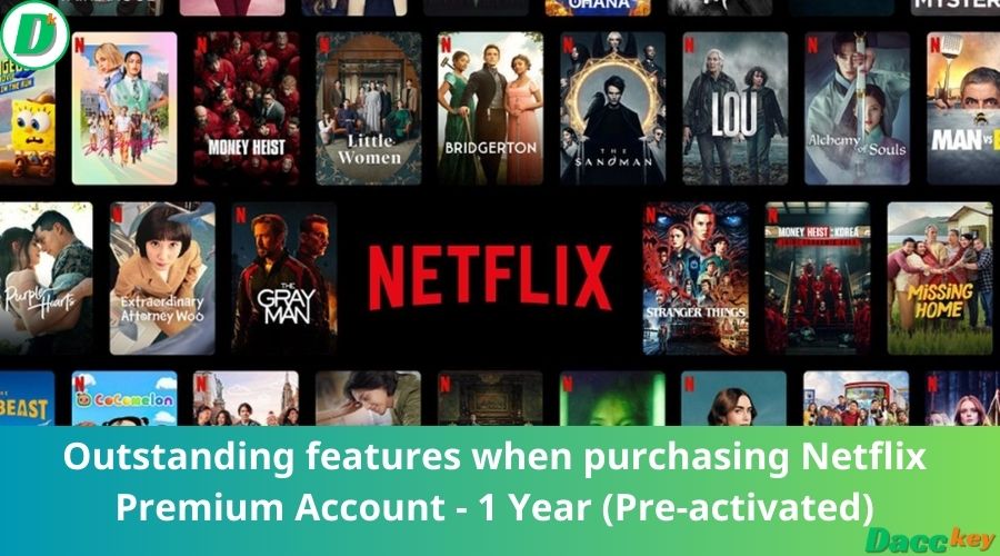 Outstanding features when purchasing Netflix Premium Account - 1 Year (Pre-activated)