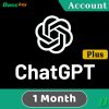 chatgpt plus account 1 month