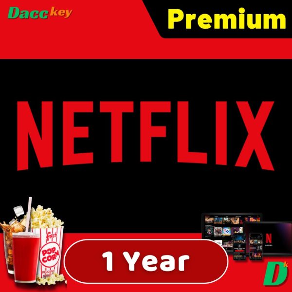 netflix premium 1 year account